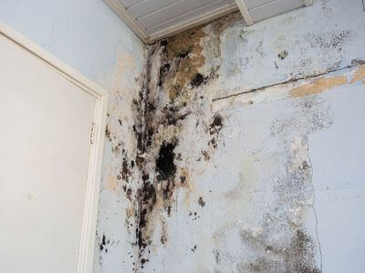 About BlueDash Co - water damage restoration experts in San Marcos